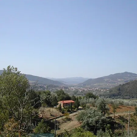 Allodola